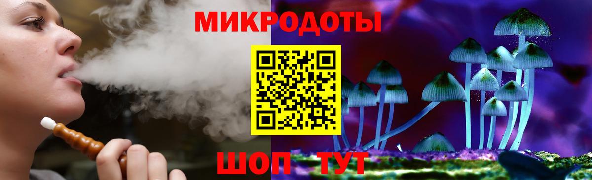 Галлюциногенные грибы Psilocybe Октябрьский